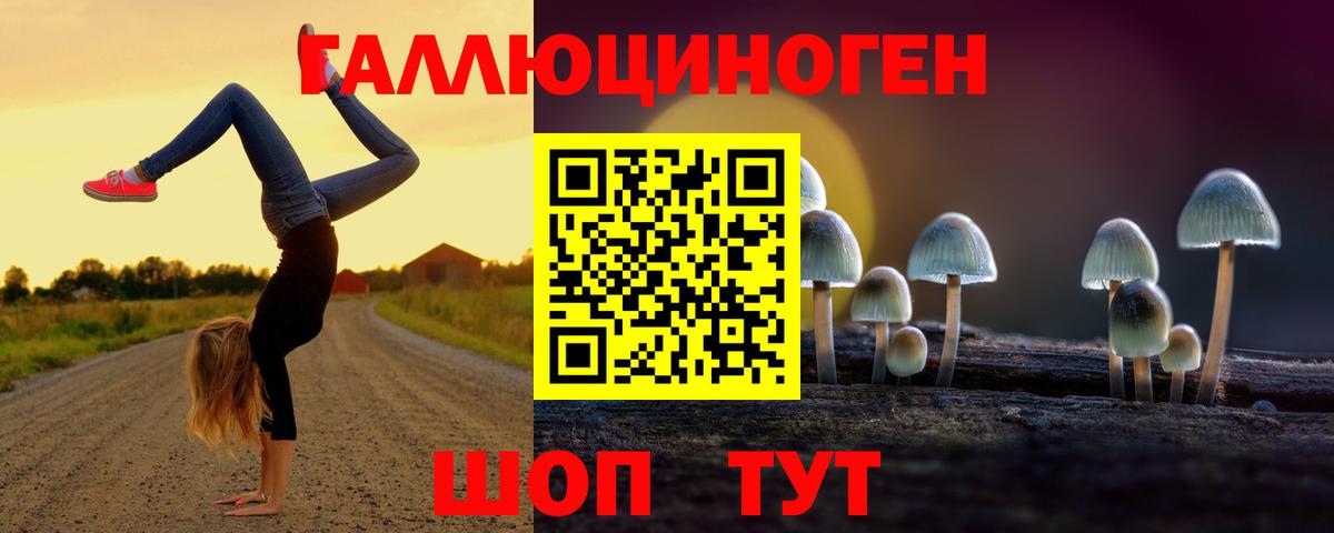 Псилоцибиновые грибы мицелий  Вход с VPN  Михайловка 